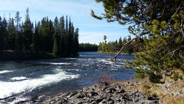 Cave Falls Yellowstone south view 2