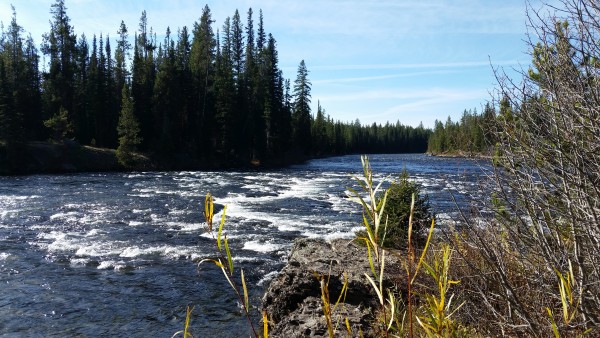 Cave Falls Yellowstone south view