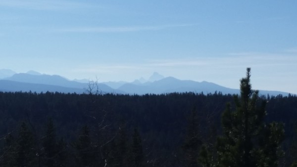 Teton Mountains from Yellowstone near Cave Falls (2)